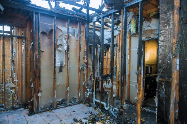 Professional Fire Damage Removal technician working in USA