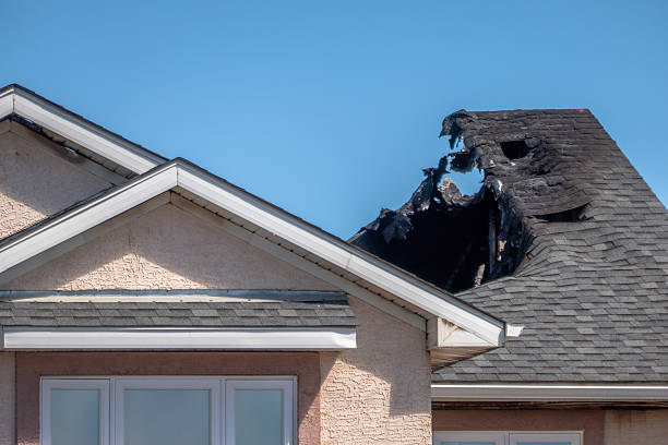 Top rated local Fire Damage Removal specialists in USA